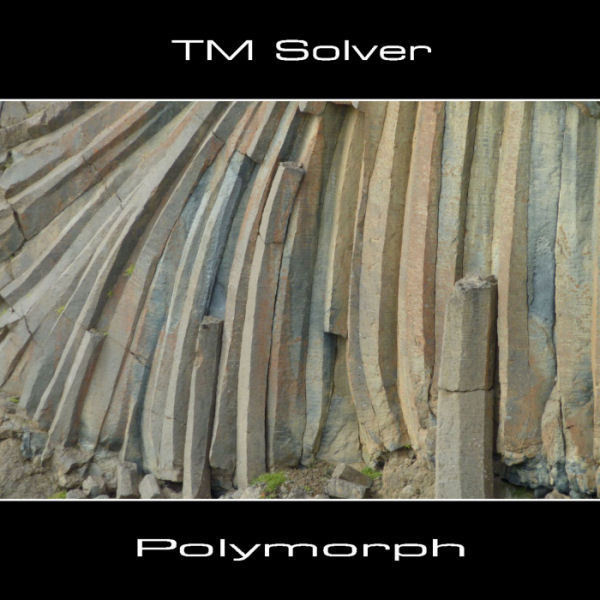 TM Solver | Polymorph