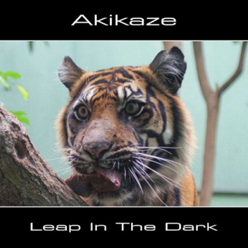 Akikaze | Leap in the Dark