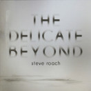 Steve Roach | Delicate Beyond