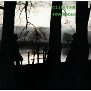 Cluster | Sowiesoso (LP)