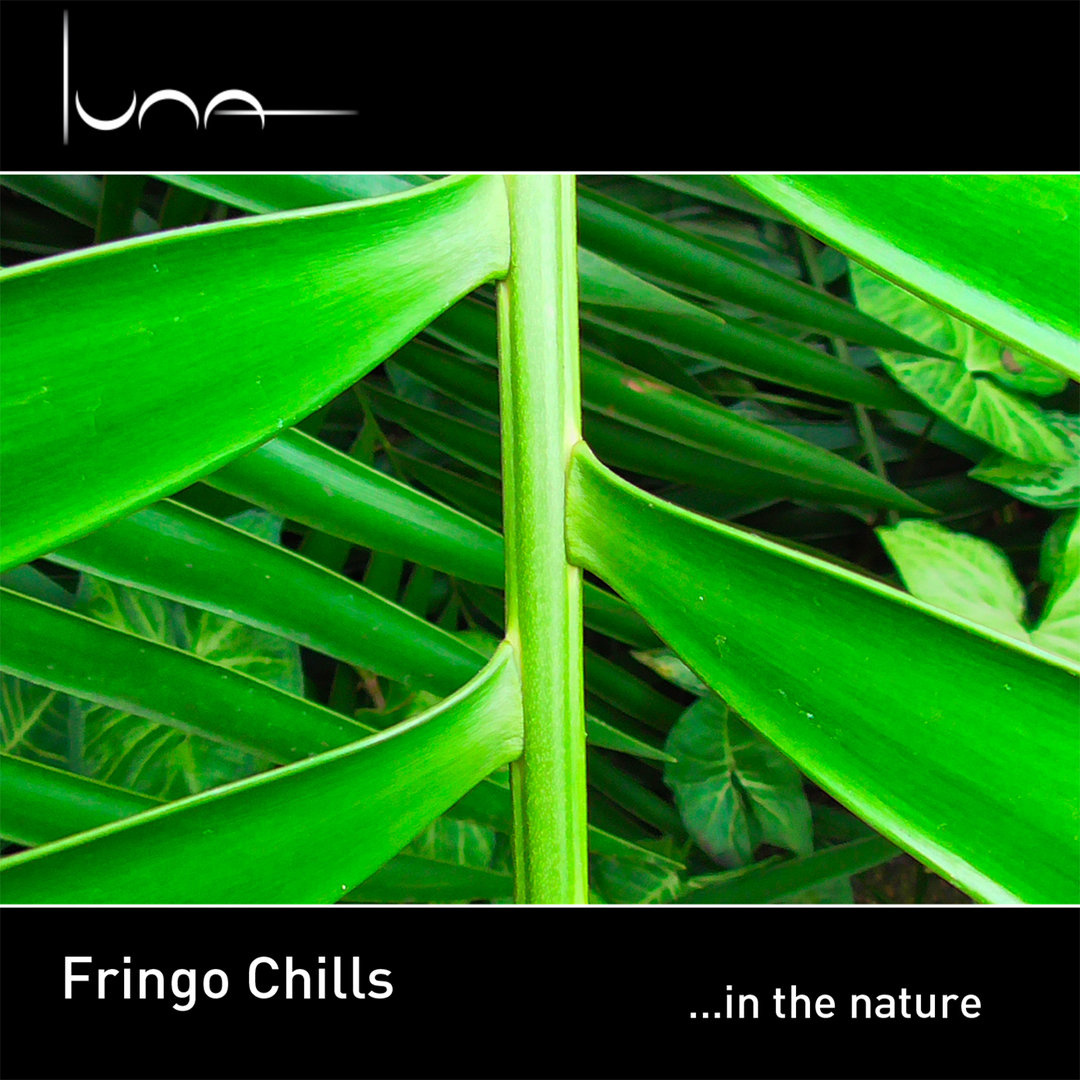 Fringo Chills | ...in the nature